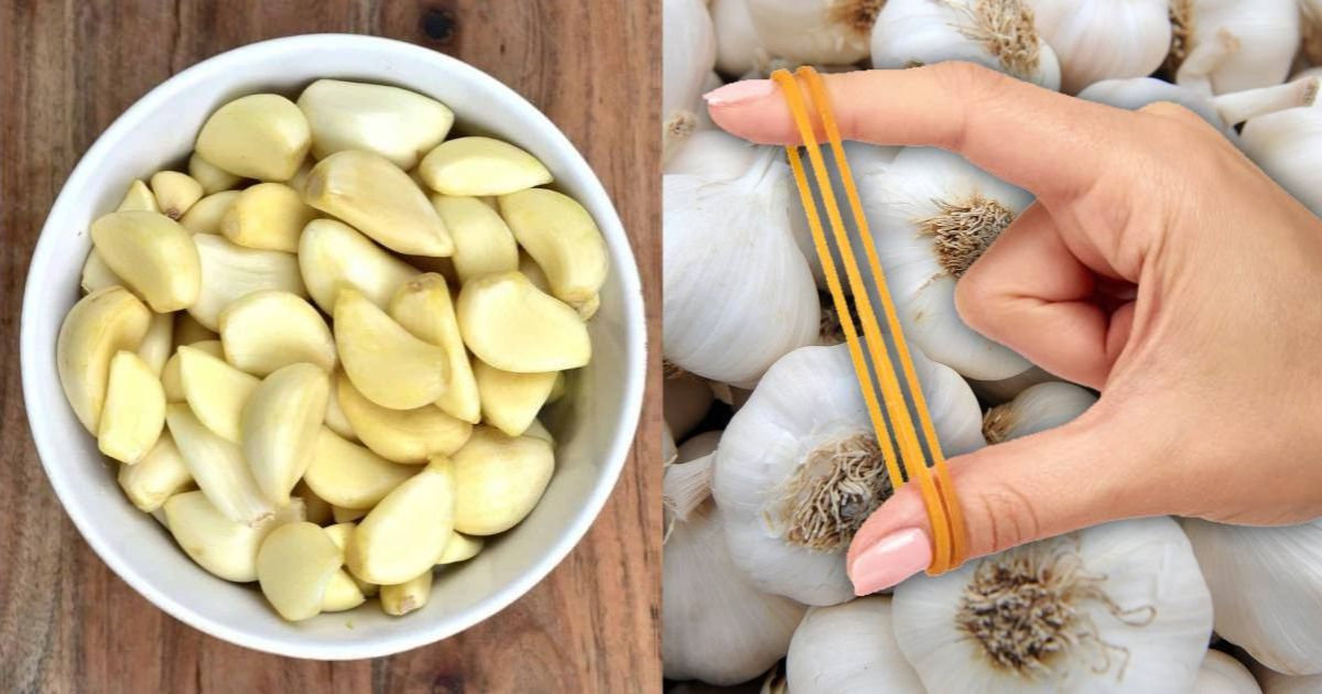 Garlic Peeling Using Rubber Bands