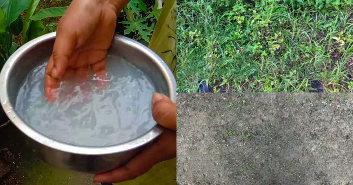 Weed Removing tricks