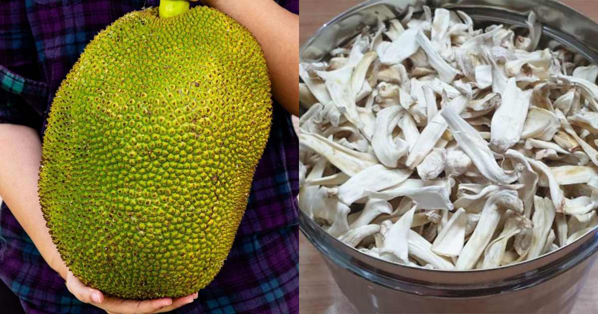 Dried Jack Fruit making