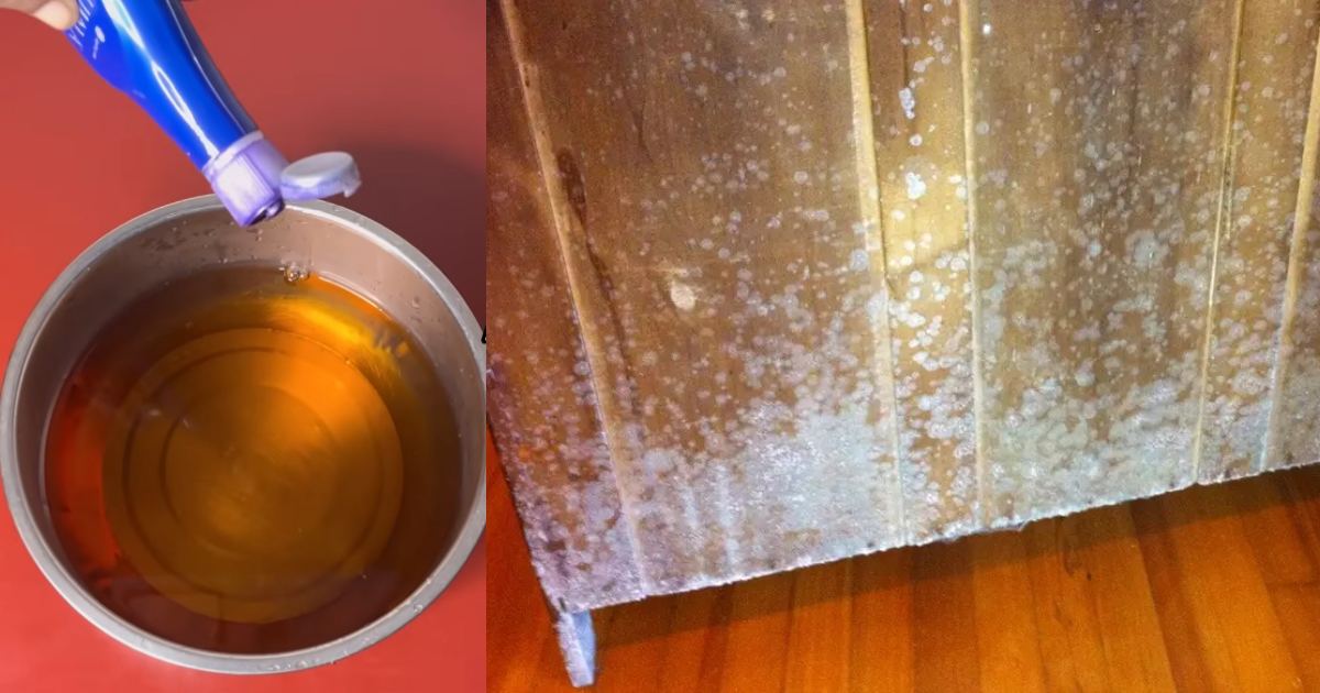 Get Rid Of Furniture Mold