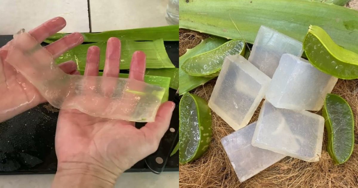 Homemade Aloevera Soap