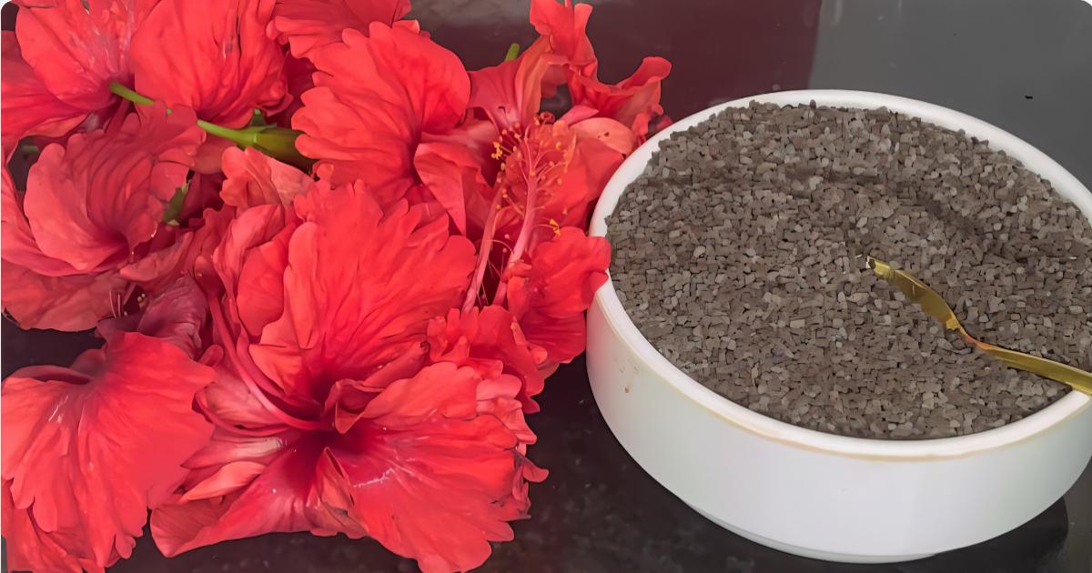 Karimjeerakam Hibiscus Hair dye