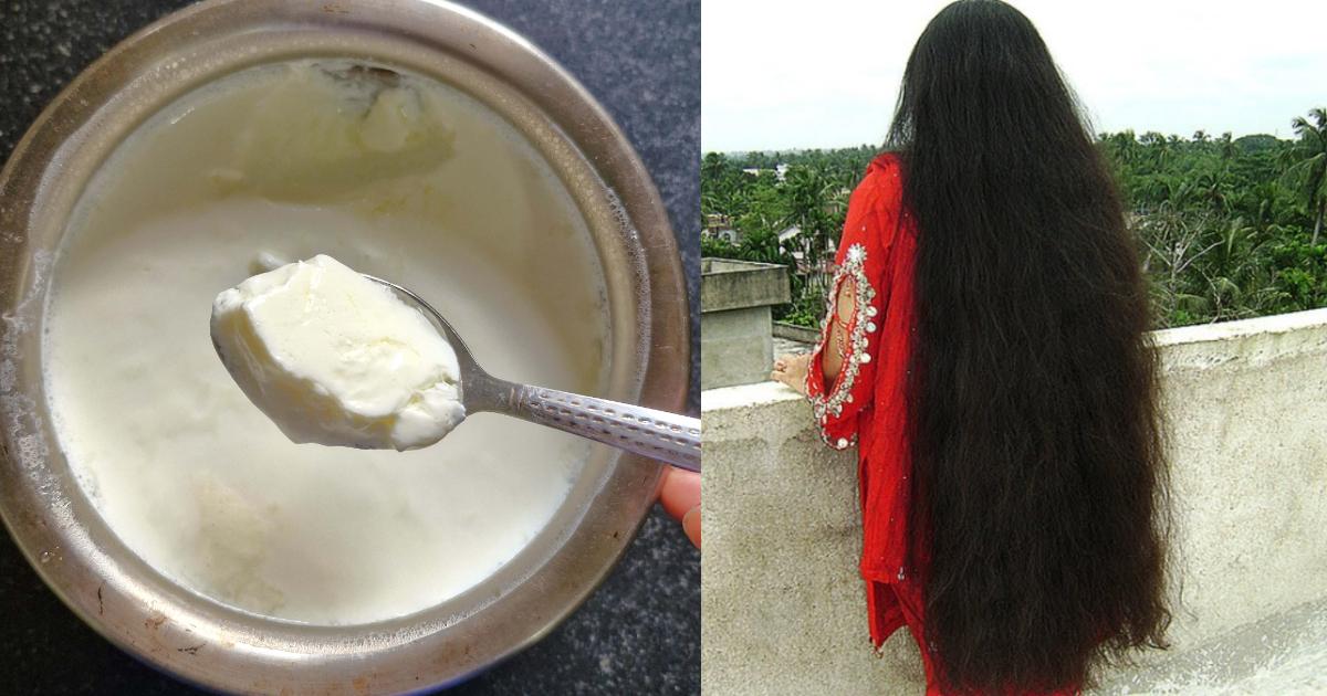 Curd Hair Dye making