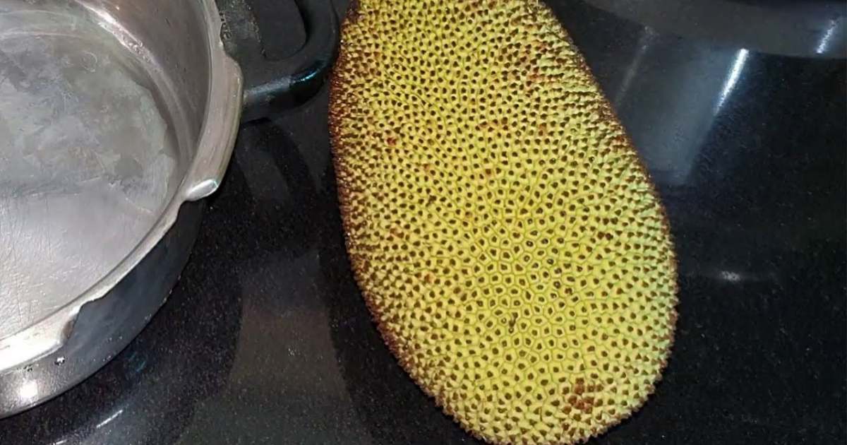 Jackfruit Cleaning tip