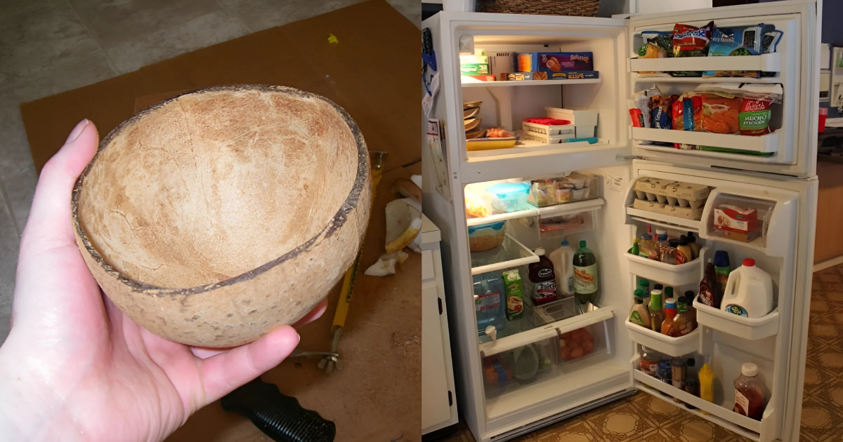 Reduce Electricity Bill Using Coconut Shell tip