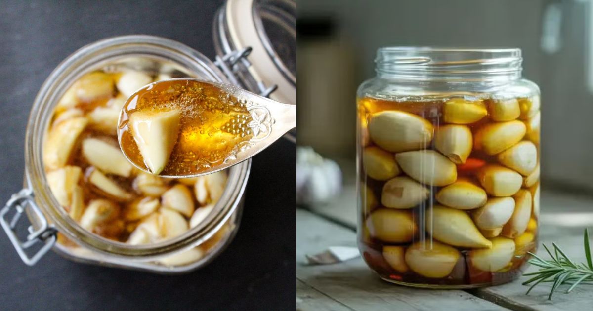 Garlic Cough Syrup Recipe