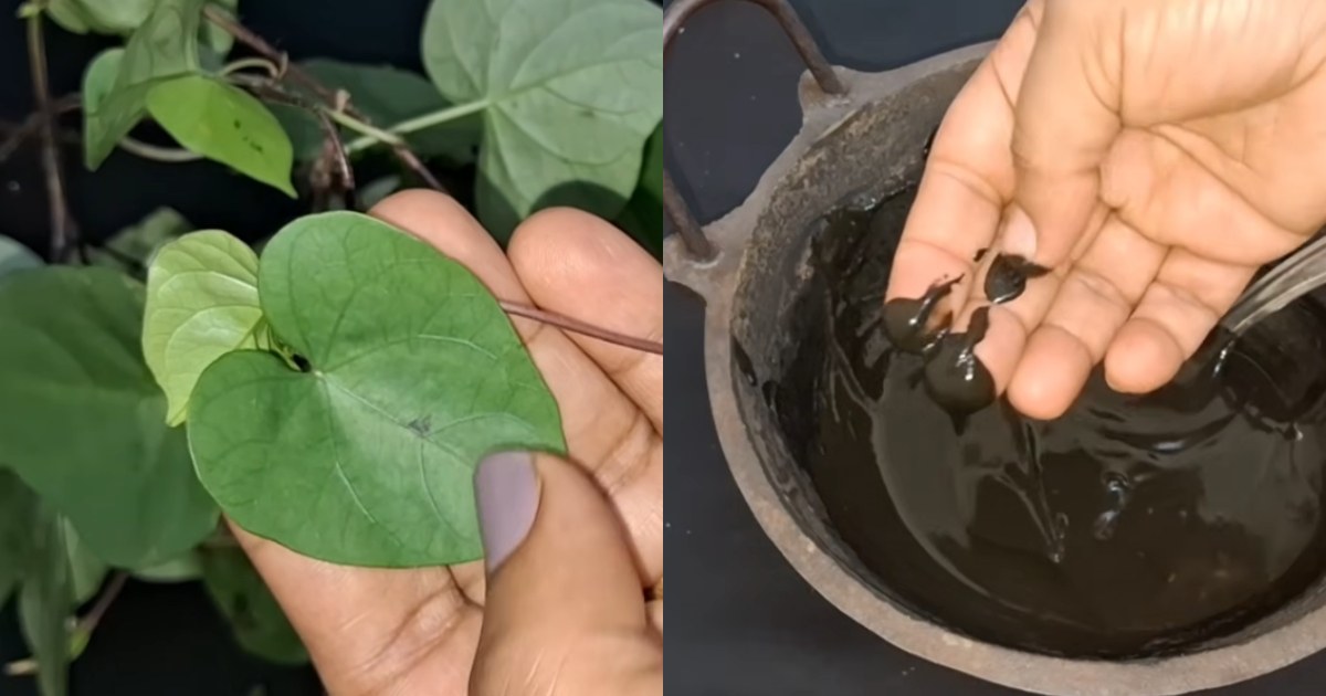 Hair and face care easy tricks