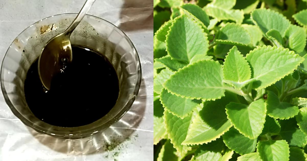 Natural Dye for grey hair