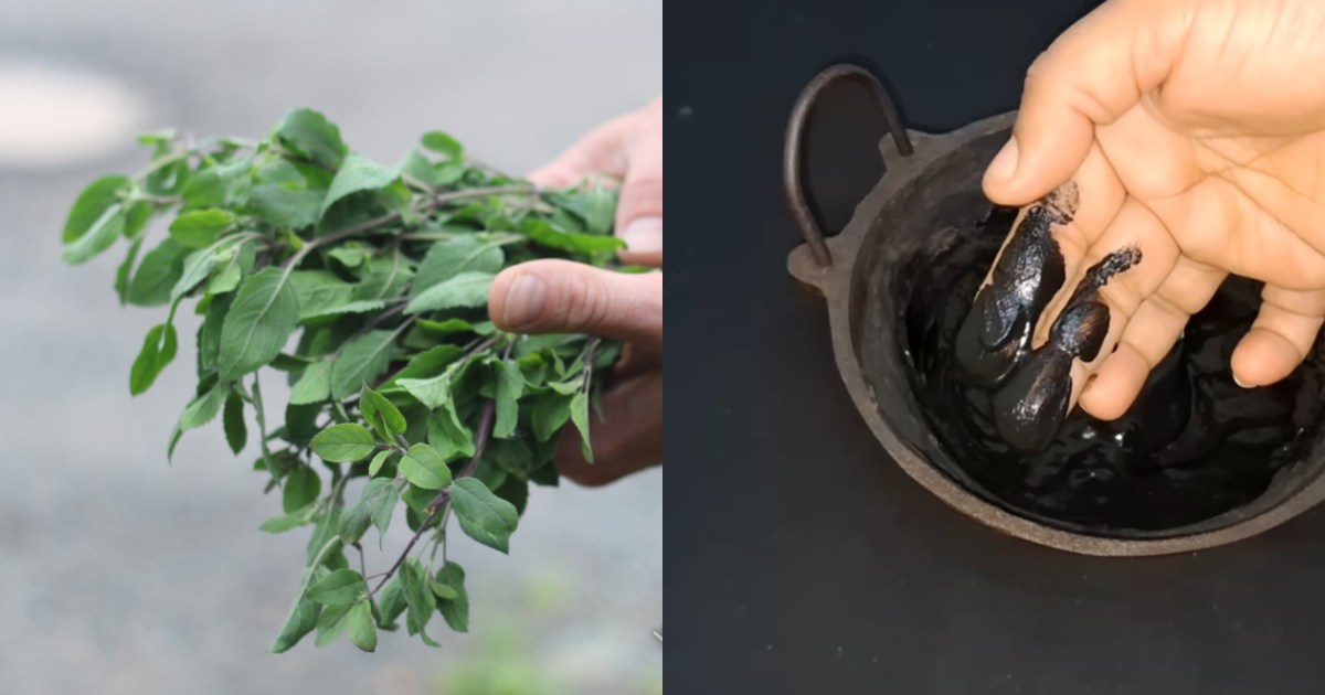 Thulasi Natural hair dye