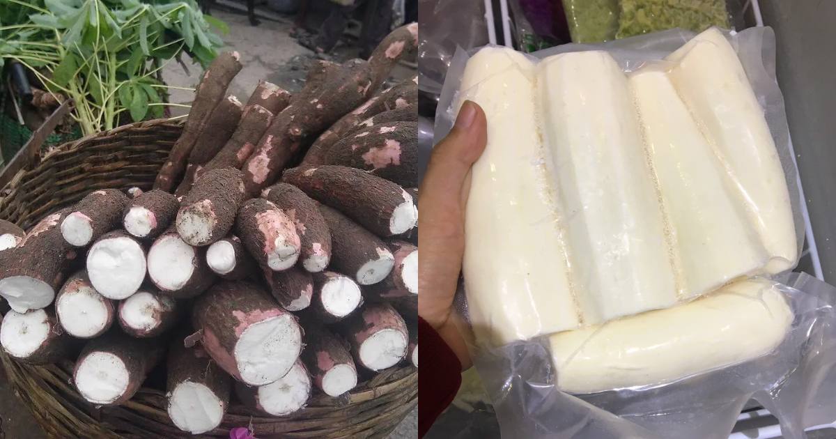 Tips to store Tapioca fresh