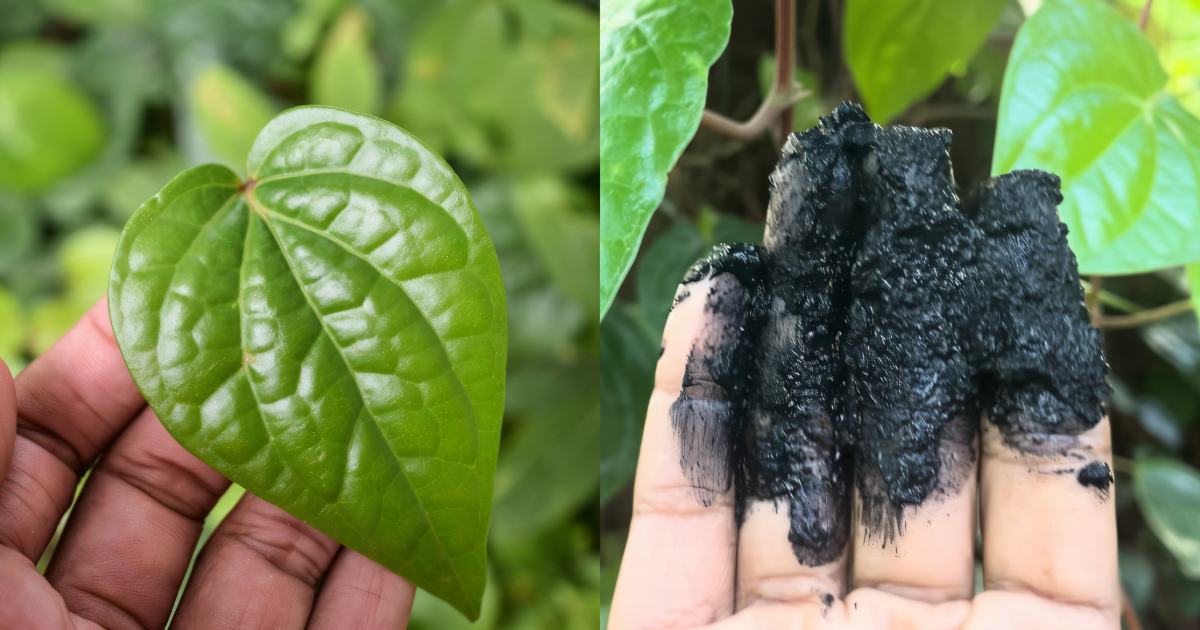 Vetila Natural Hair dye