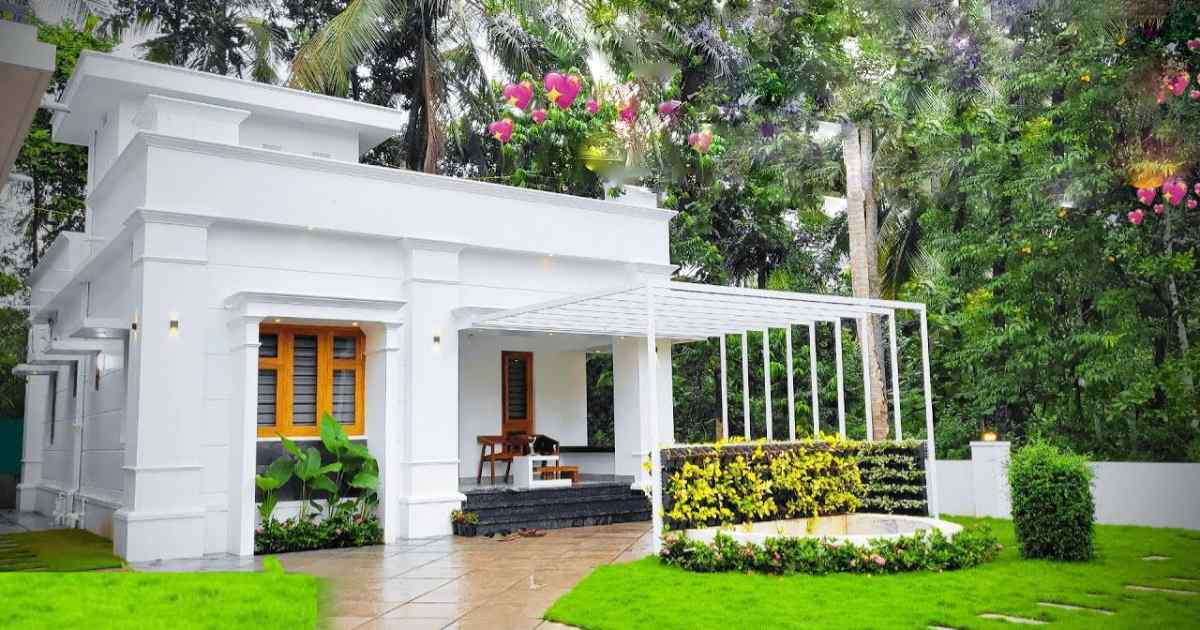 850 Sqft House with Stunning Interior