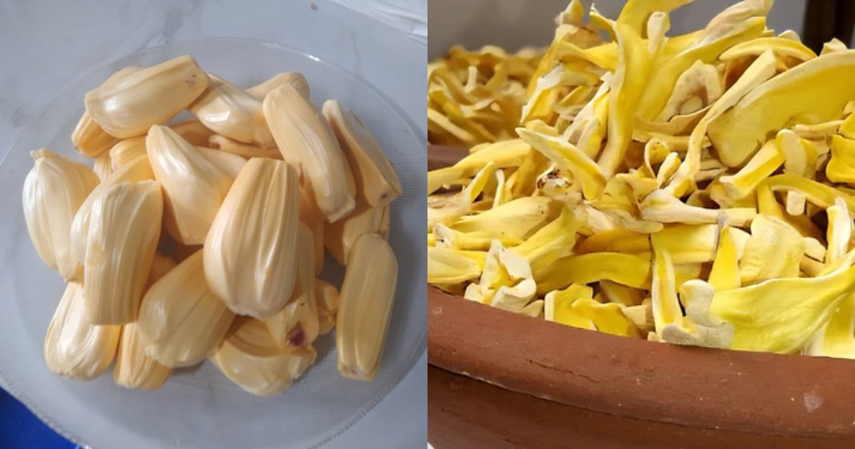 Jackfruit Drying process