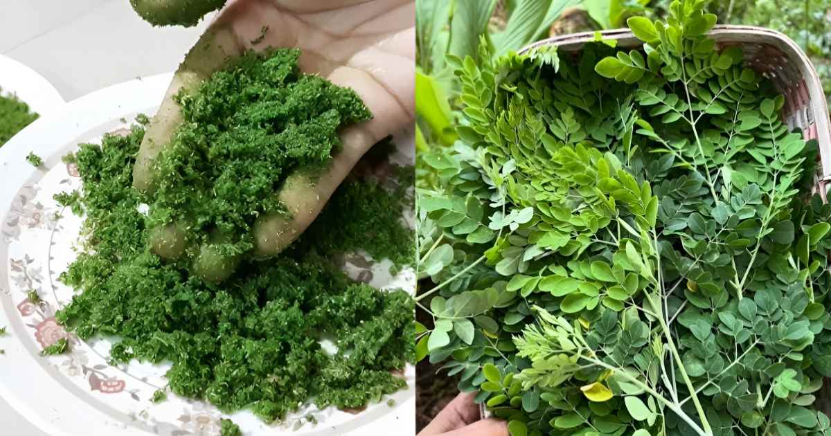 Natural Knee Pain remedy