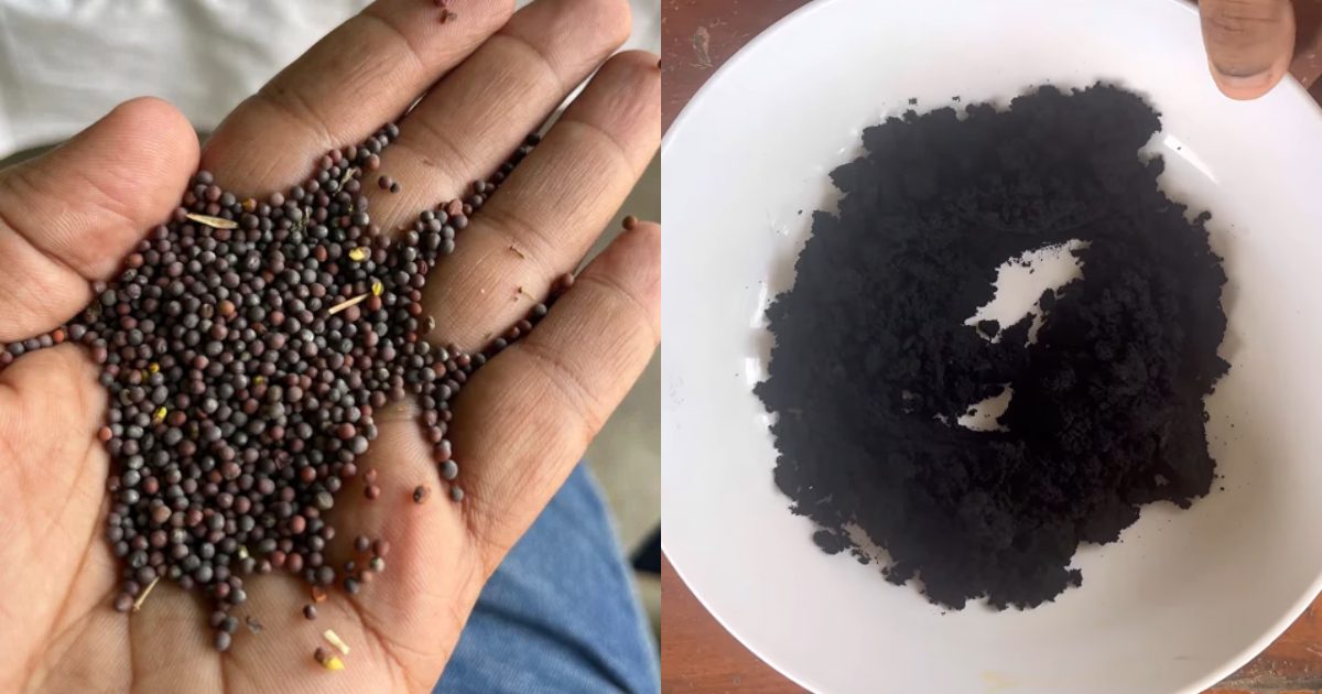 Mustard seeds hair dye