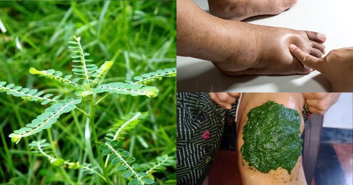 Benefits of Keezharnelli